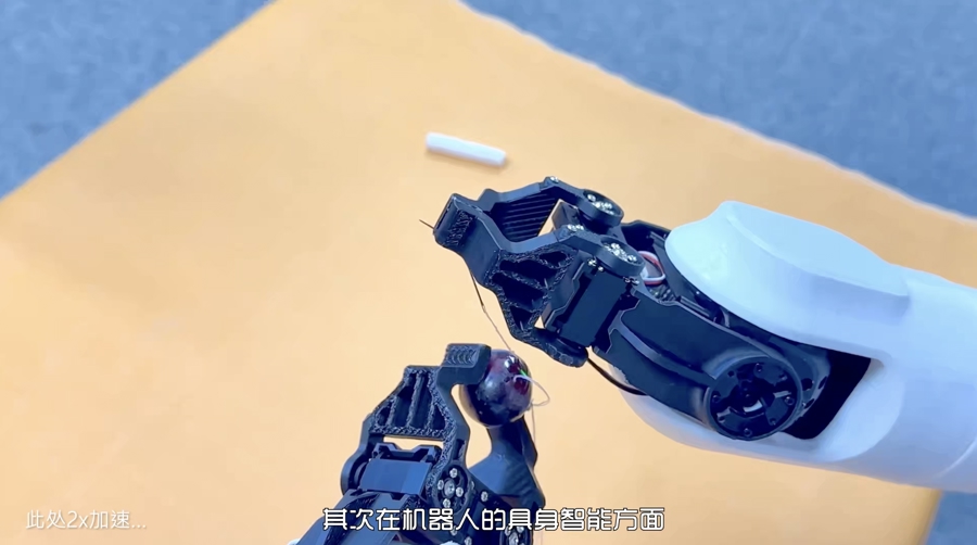 缝葡萄皮。